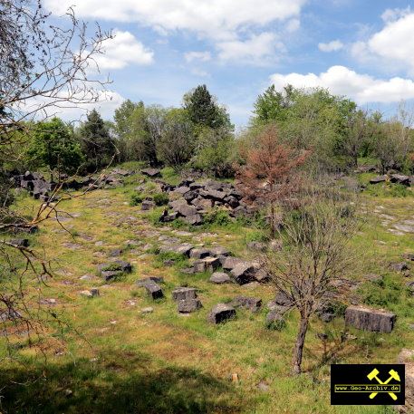 Quaderkalk Stbr. Luetzelbruch bei Lindelbach nahe Wuerzburg, Bayern, (D) - 18. Mai 2023 (16).JPG